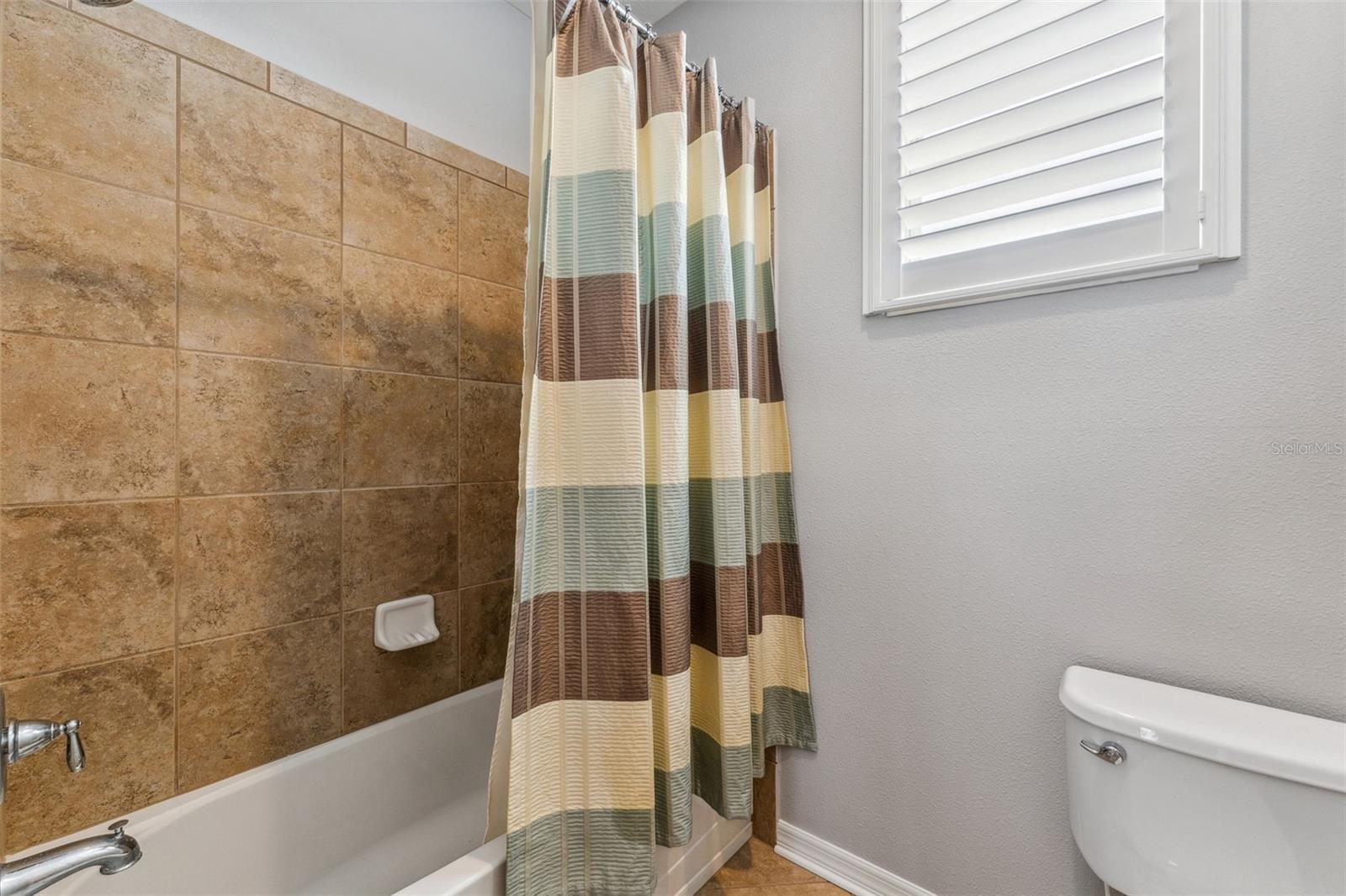 11309 WINTHROP LAKE DR, RIVERVIEW, FL, 33578