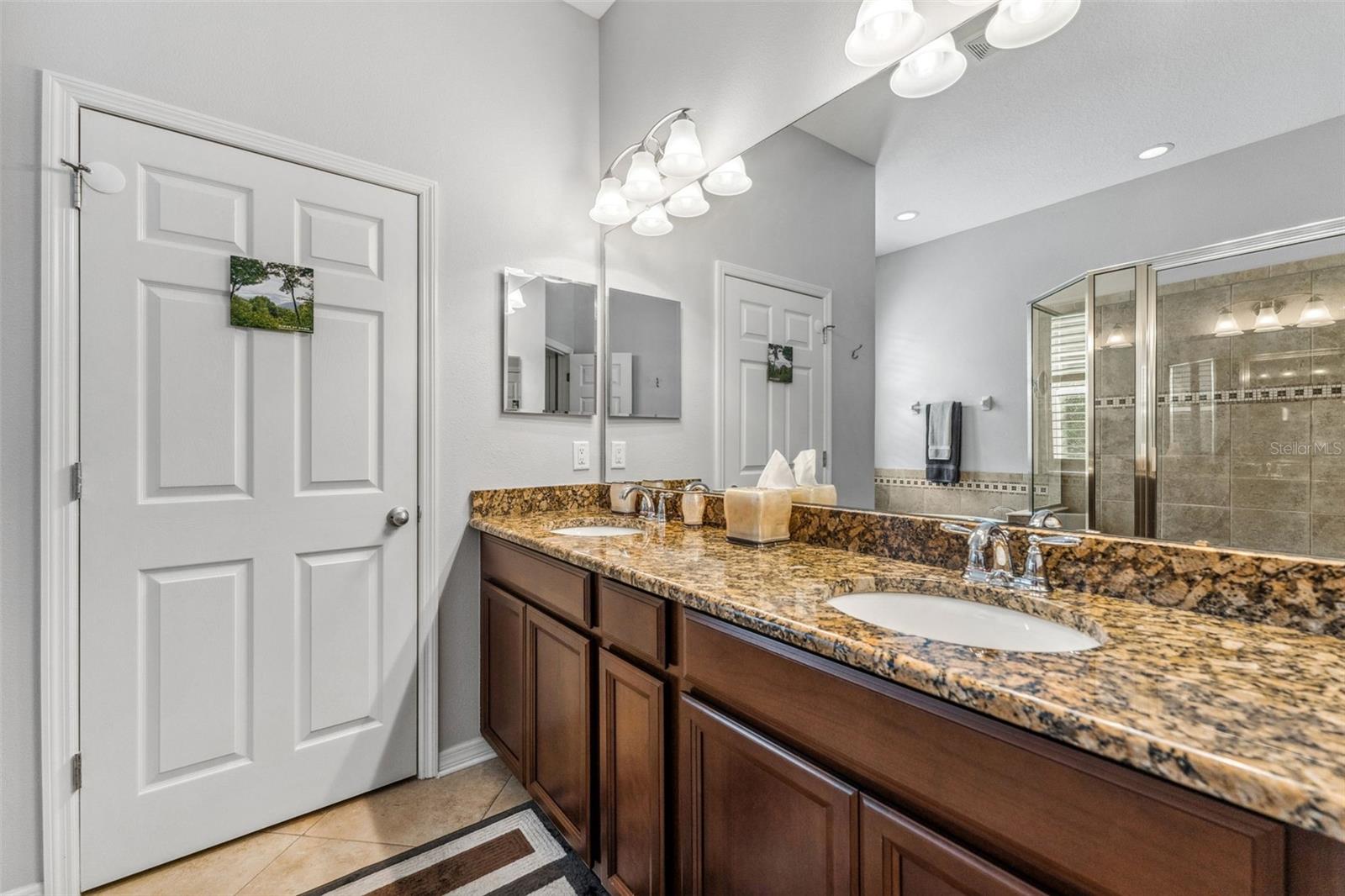 11309 WINTHROP LAKE DR, RIVERVIEW, FL, 33578
