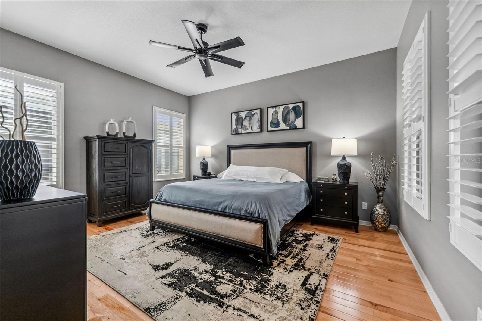 11309 WINTHROP LAKE DR, RIVERVIEW, FL, 33578