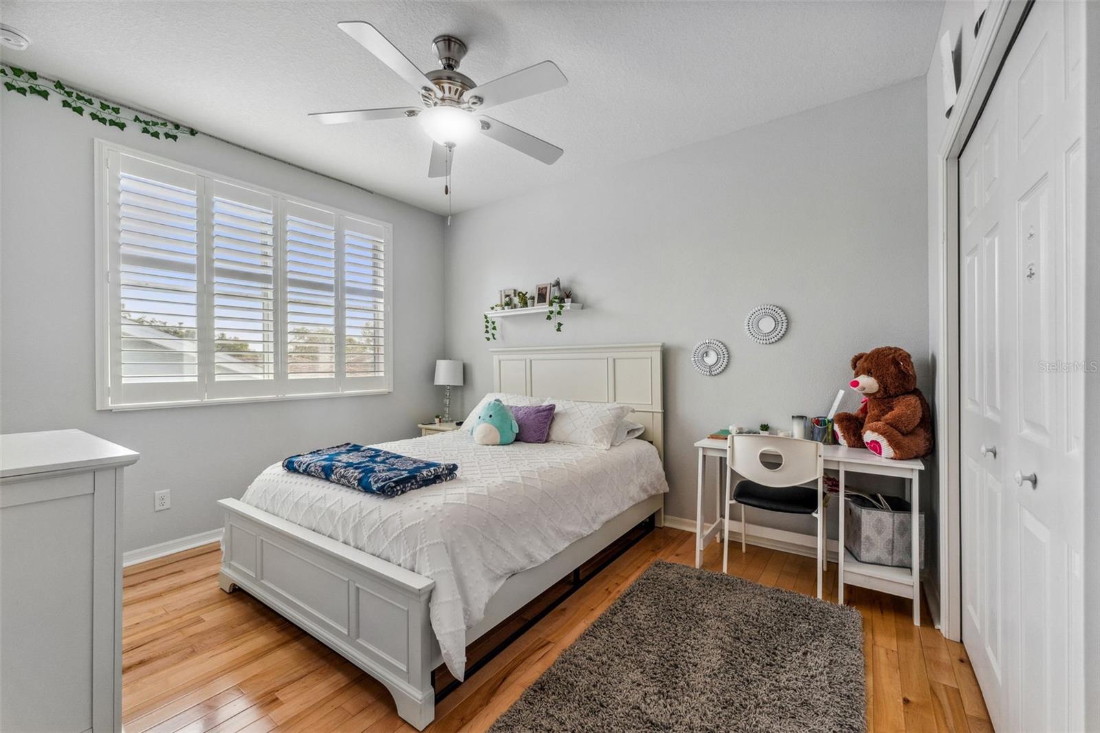 11309 WINTHROP LAKE DR, RIVERVIEW, FL, 33578