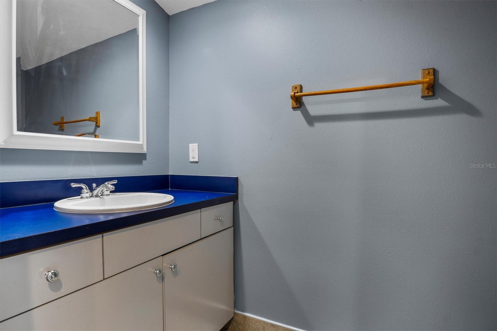 6315 METZ RD, GROVELAND, FL, 34736