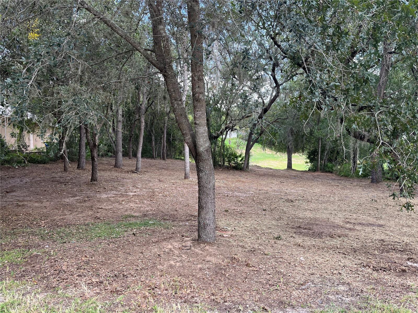 41 SUMMERWOOD DR, CLERMONT, FL, 34715