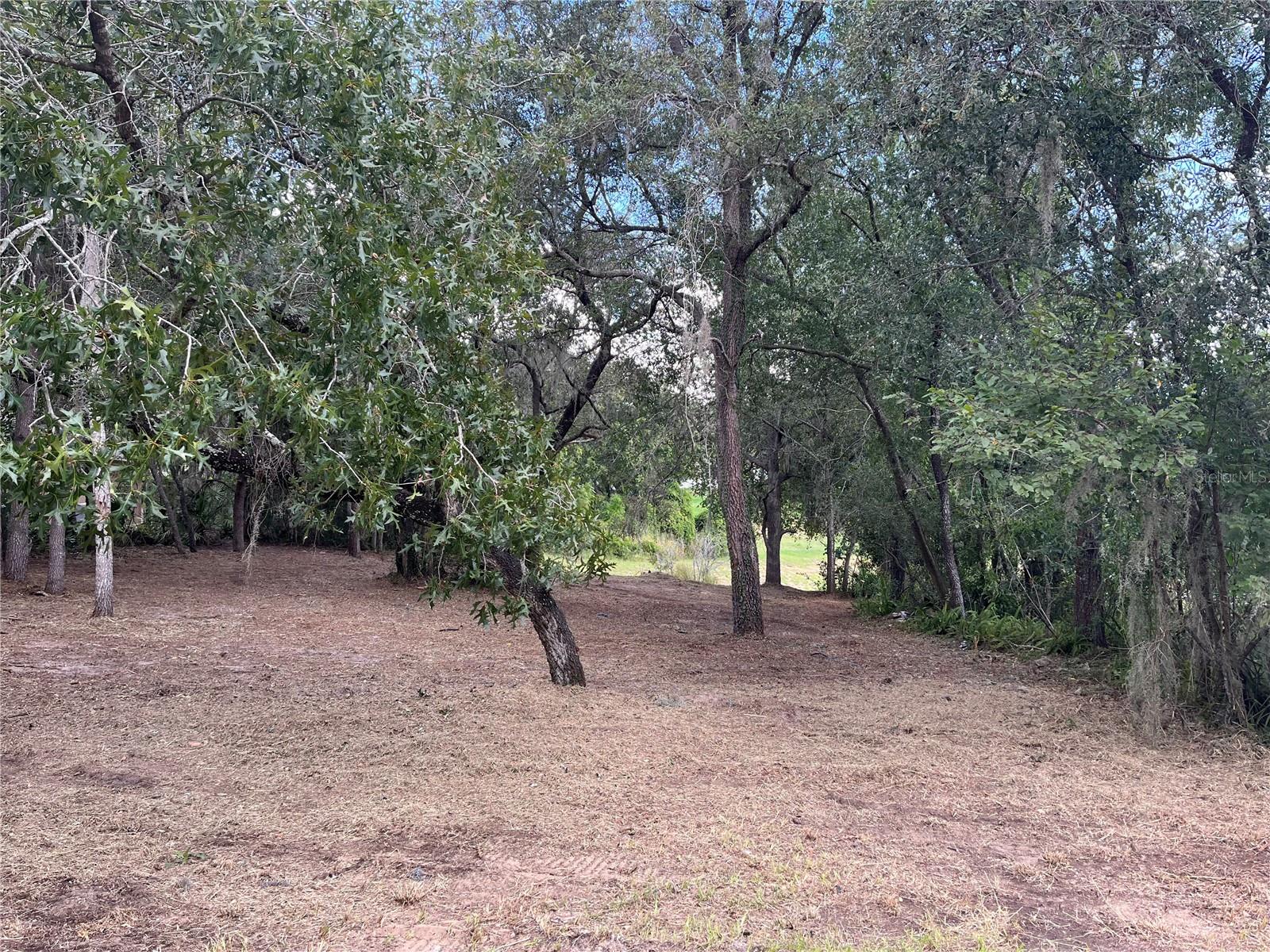 41 SUMMERWOOD DR, CLERMONT, FL, 34715