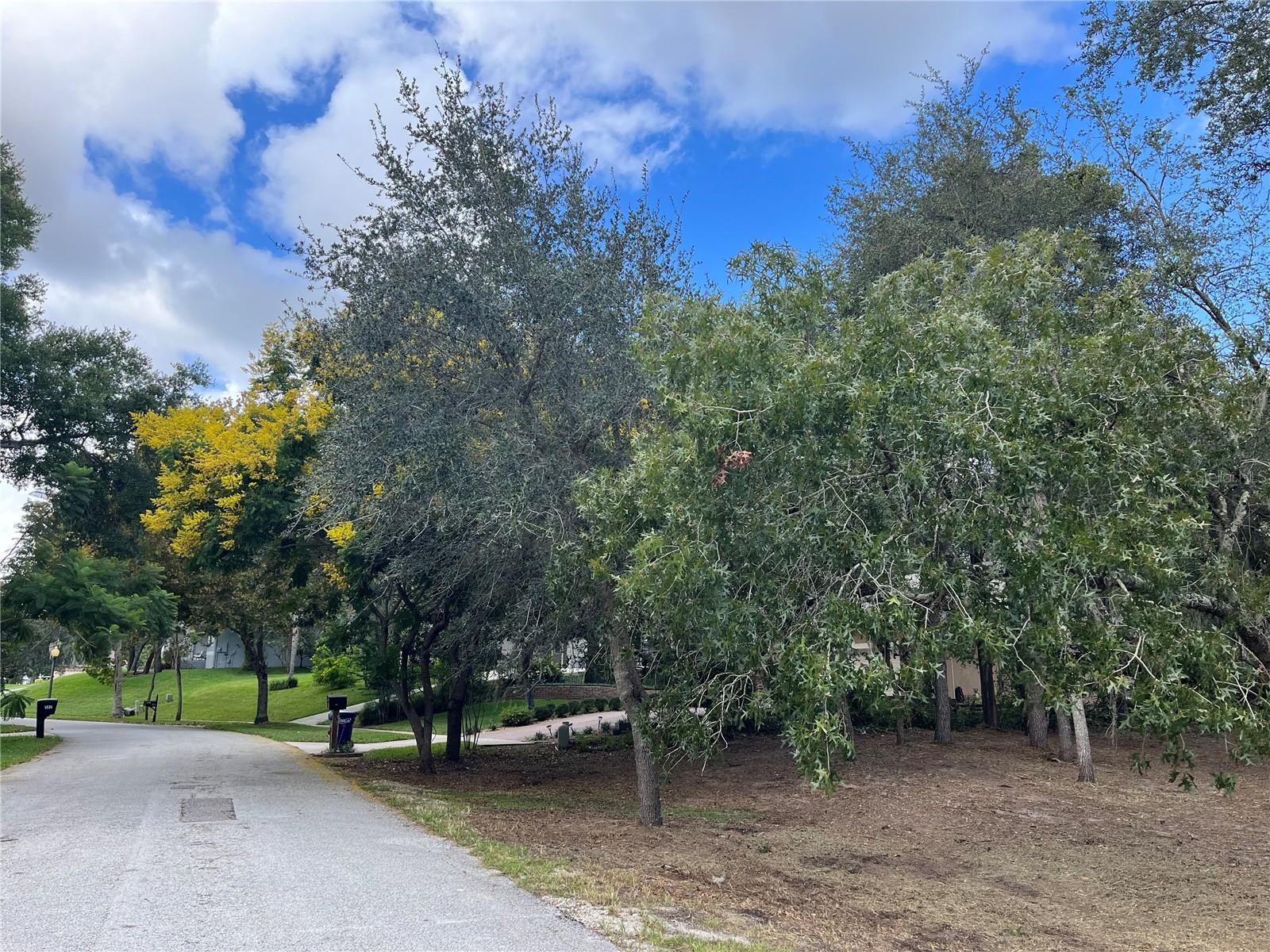 41 SUMMERWOOD DR, CLERMONT, FL, 34715