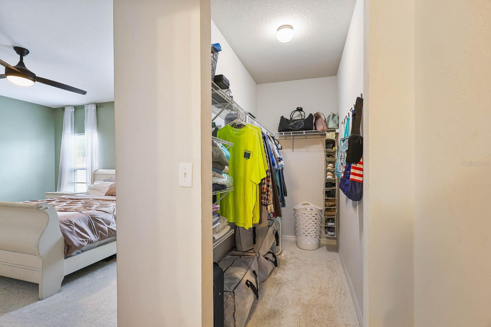 14426 HADDON MIST DR, WIMAUMA, FL, 33598