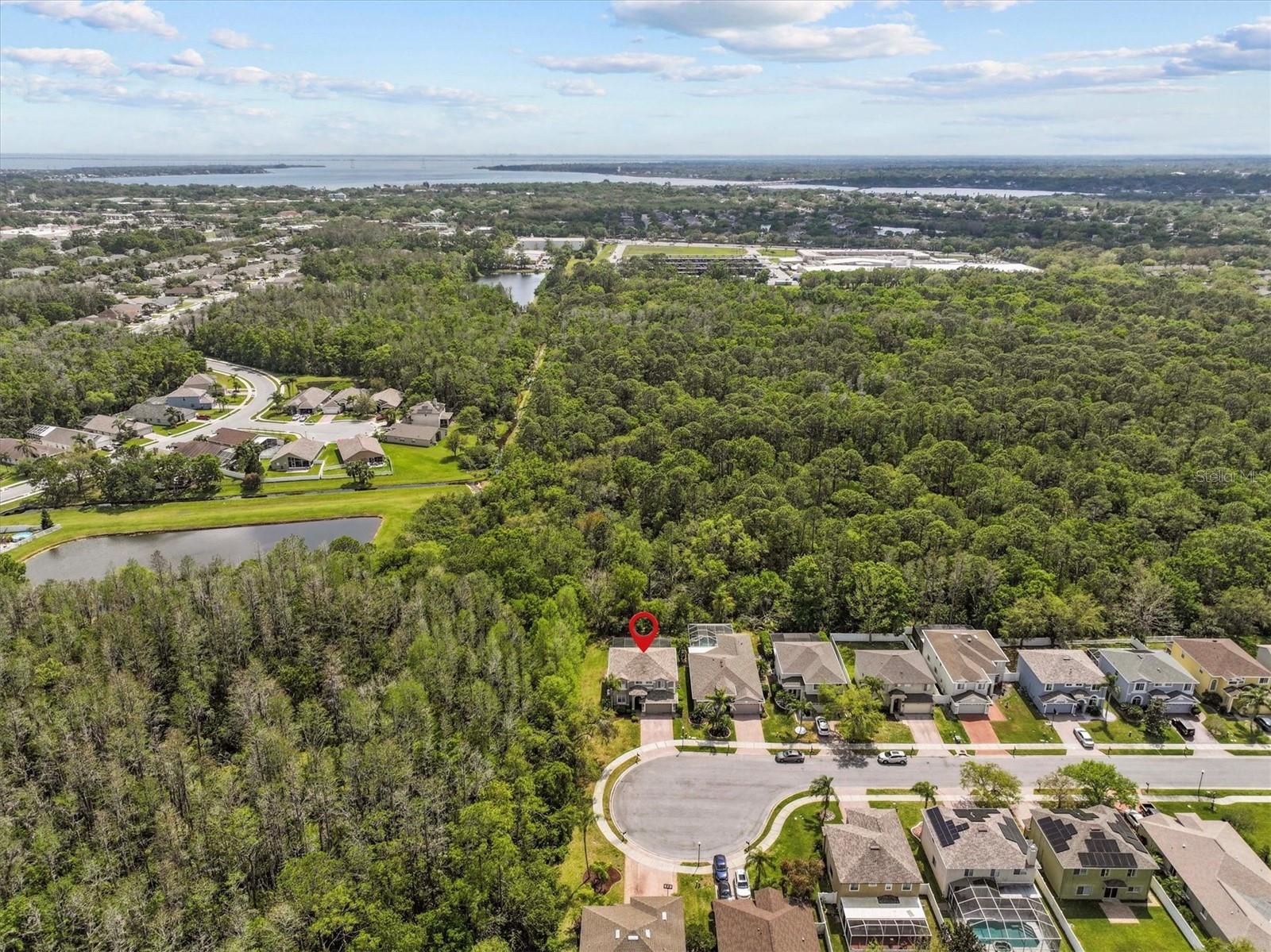 390 ROSALIND LN, OLDSMAR, FL, 34677