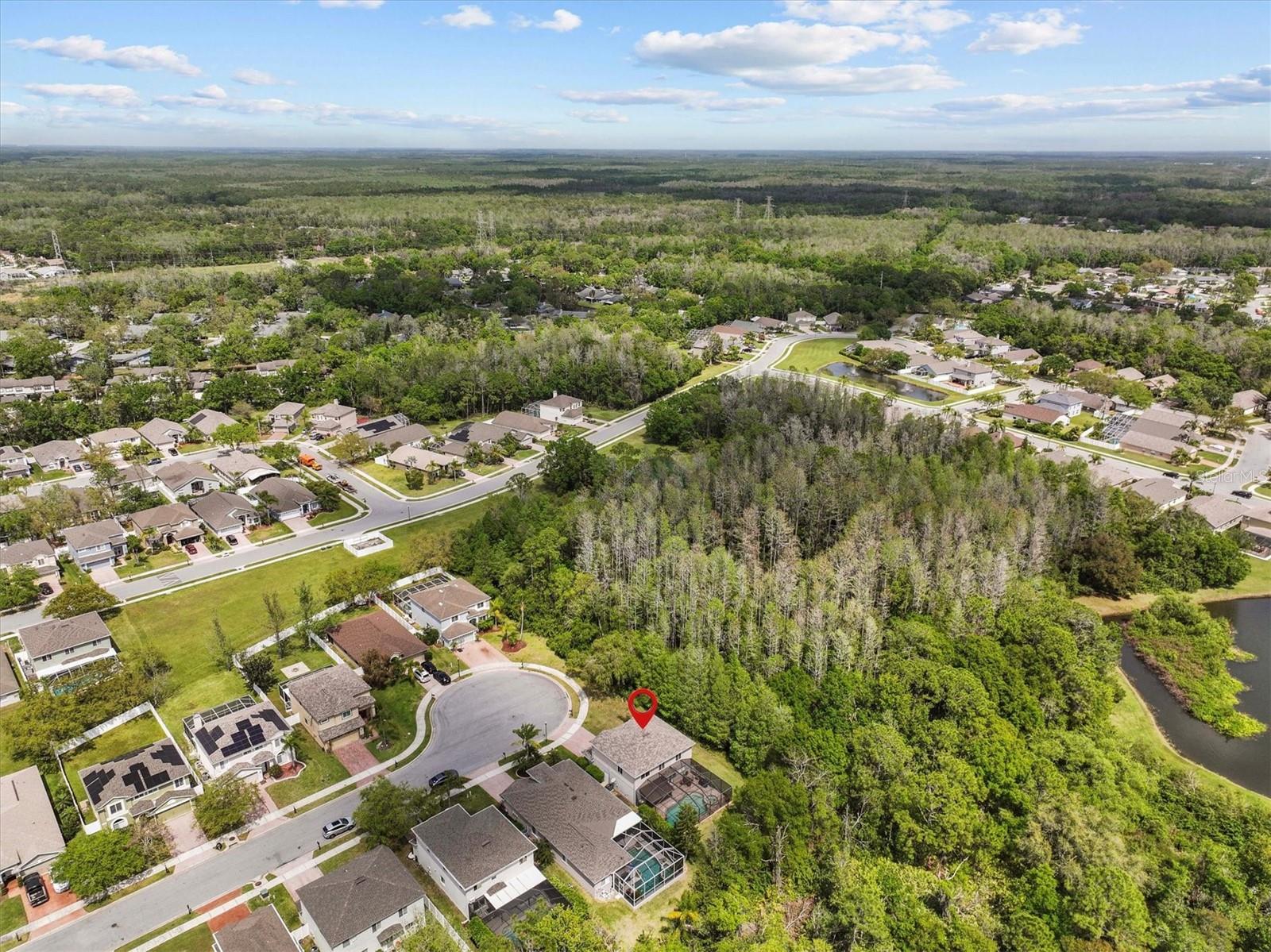 390 ROSALIND LN, OLDSMAR, FL, 34677