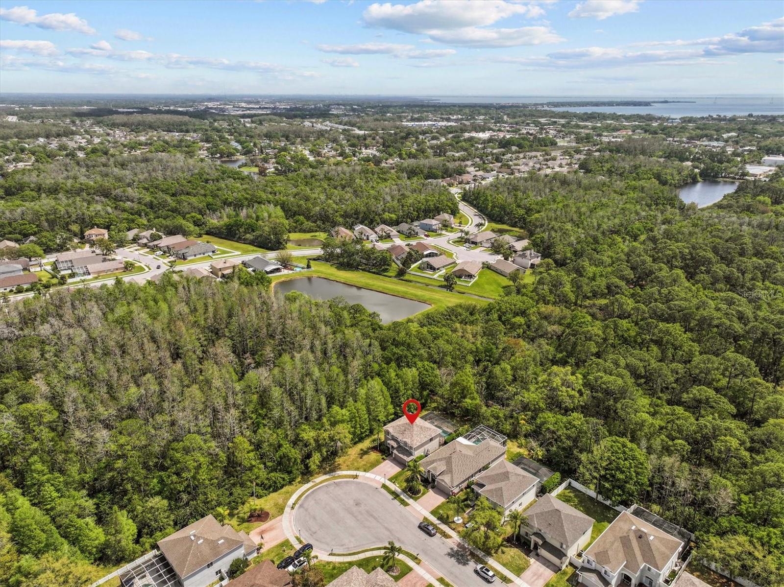 390 ROSALIND LN, OLDSMAR, FL, 34677