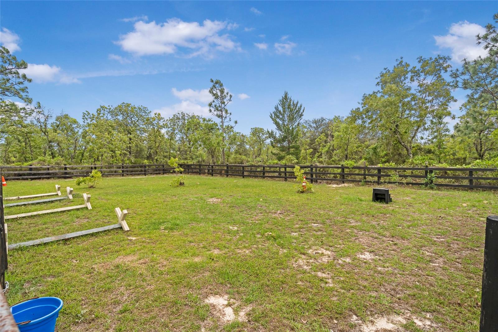 1151 NE 127TH CT, WILLISTON, FL, 32696