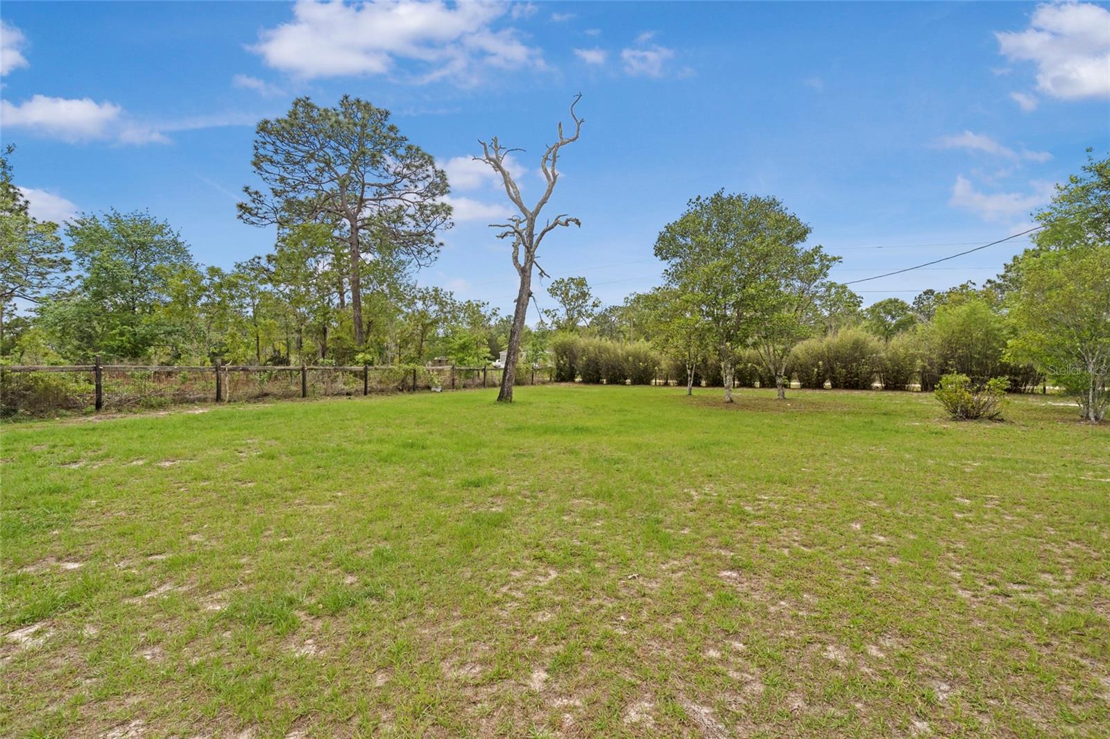 1151 NE 127TH CT, WILLISTON, FL, 32696