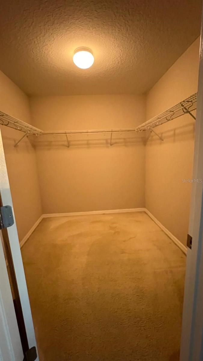 10604 REAMS RD, WINDERMERE, FL, 34786