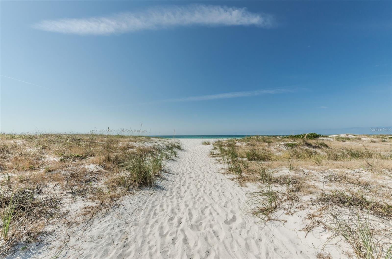 810 LANTANA AVE, CLEARWATER BEACH, FL, 33767