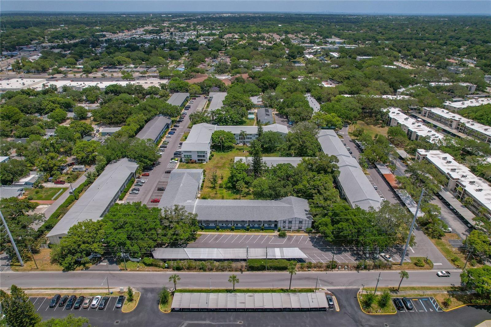 300 CLYDE LN #213, DUNEDIN, FL, 34698