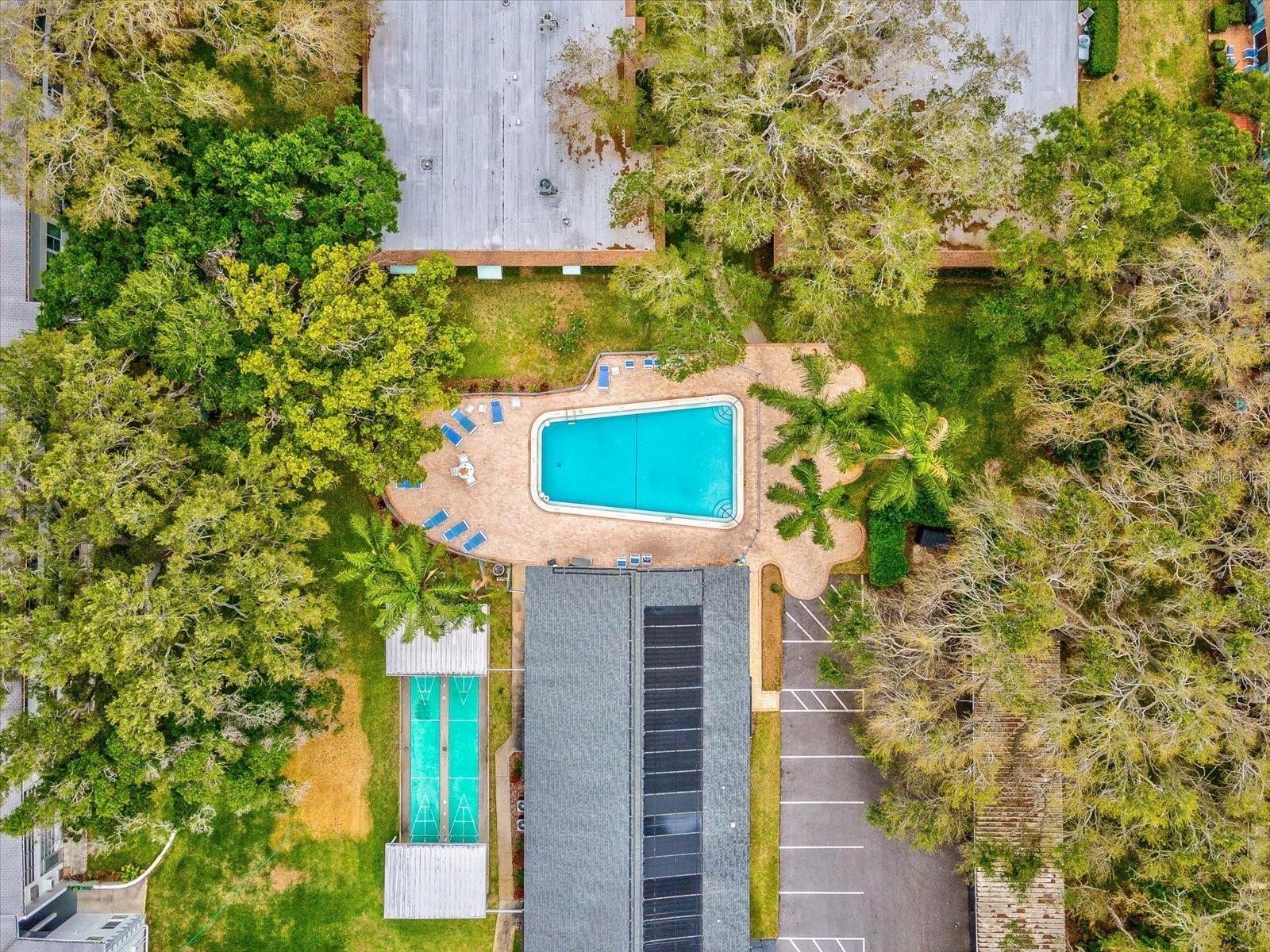 300 CLYDE LN #213, DUNEDIN, FL, 34698