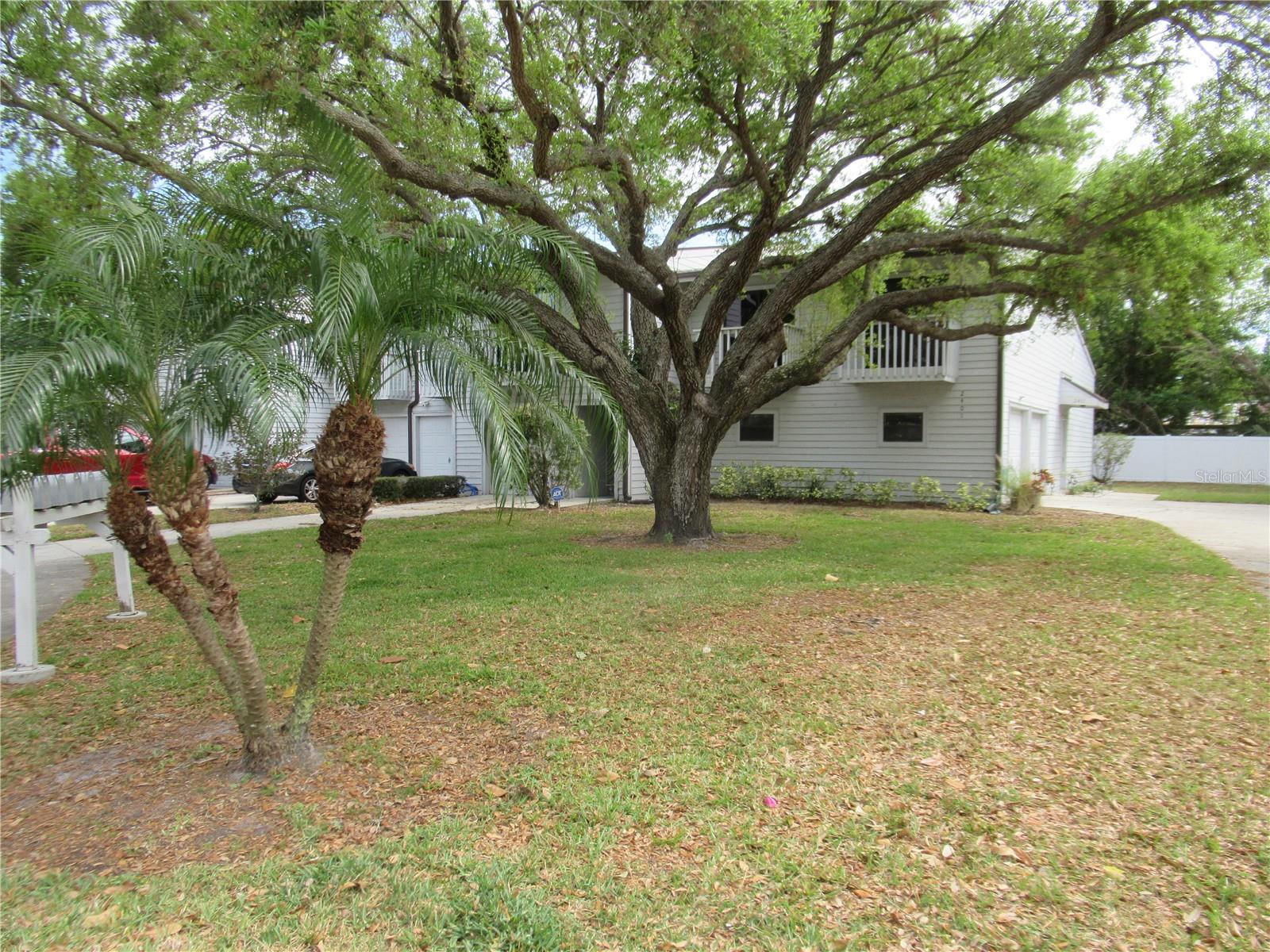 6334 92 PL #2401, PINELLAS PARK, FL, 33782