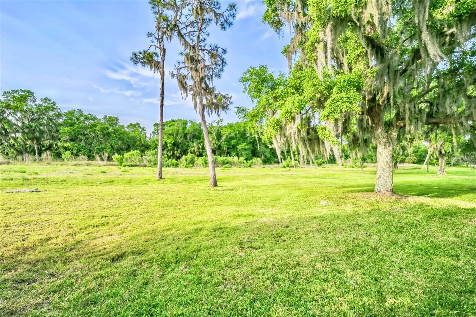 4435 FAIRWAY OAKS DR, MULBERRY, FL, 33860
