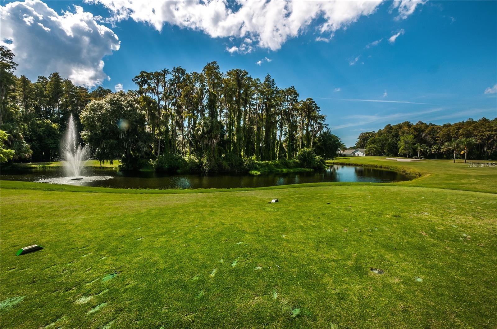 3254 LORI LN, NEW PORT RICHEY, FL, 34655