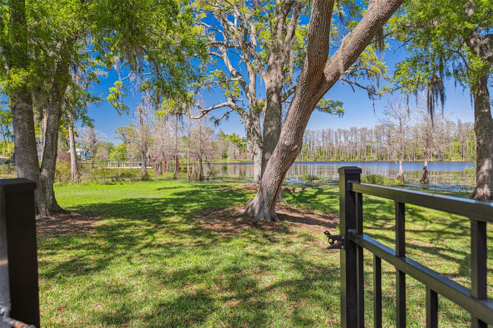 16121 CARENCIA LN, ODESSA, FL, 33556