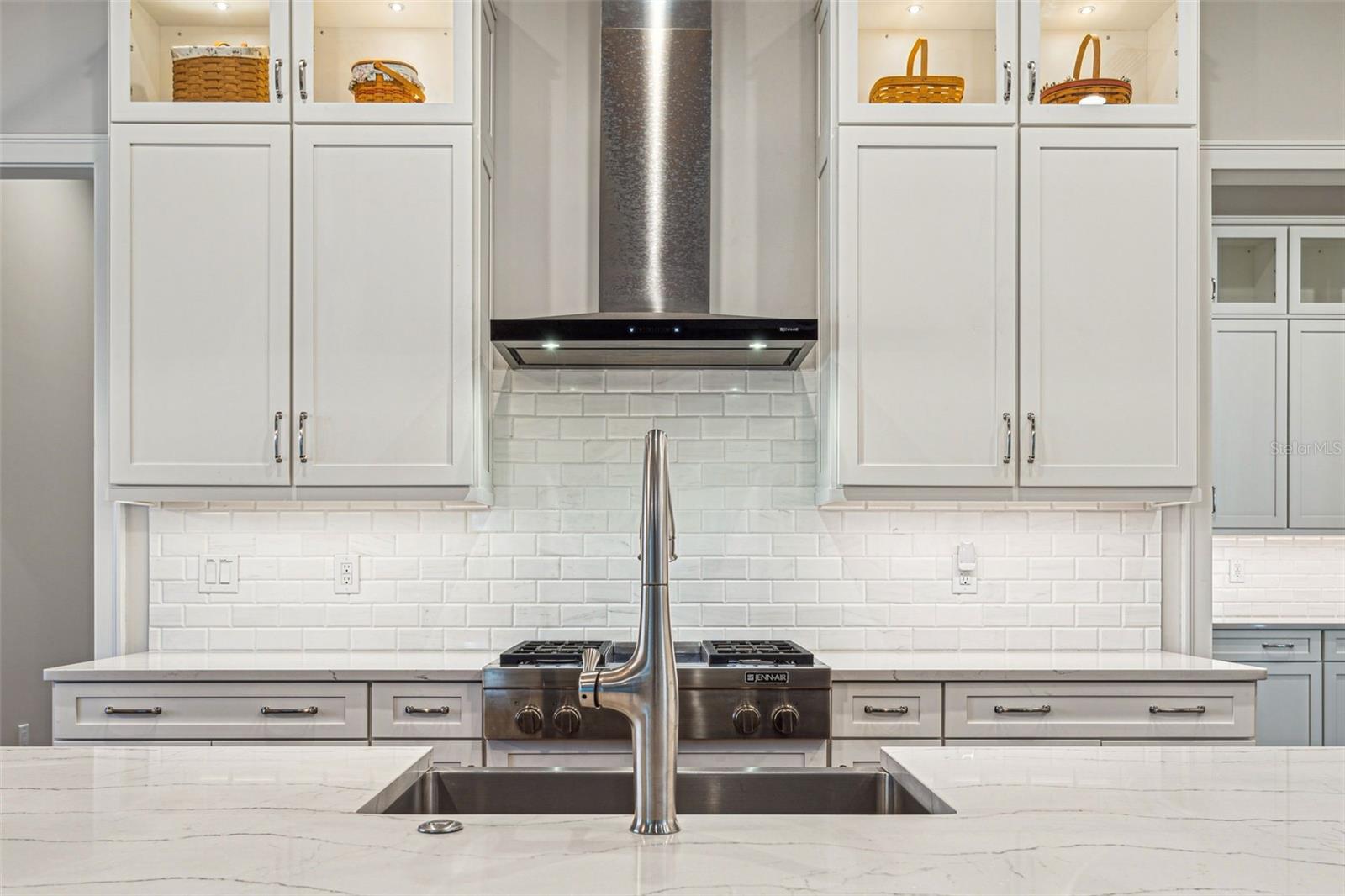 16121 CARENCIA LN, ODESSA, FL, 33556