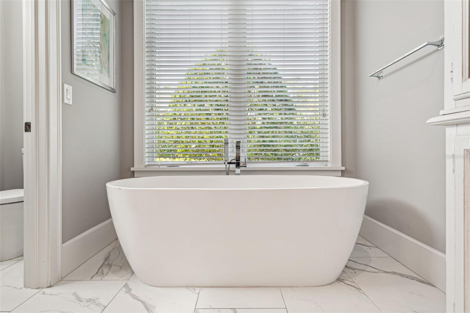 16121 CARENCIA LN, ODESSA, FL, 33556