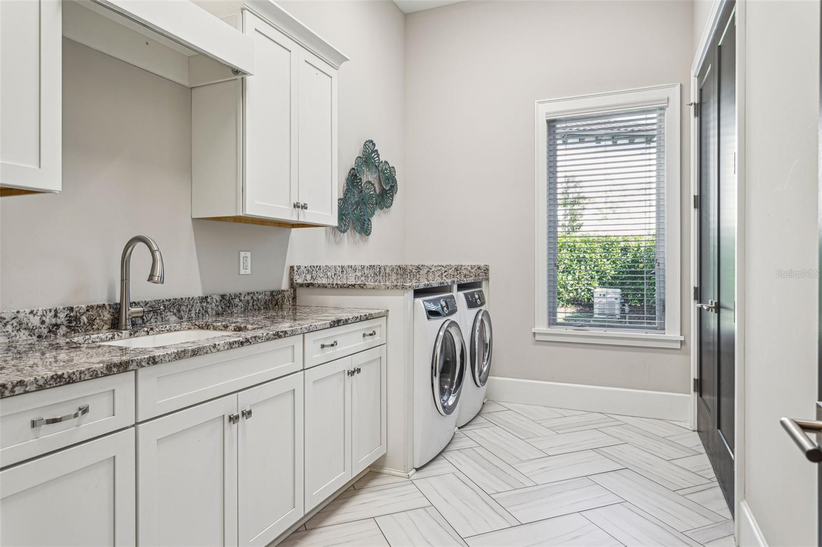 16121 CARENCIA LN, ODESSA, FL, 33556