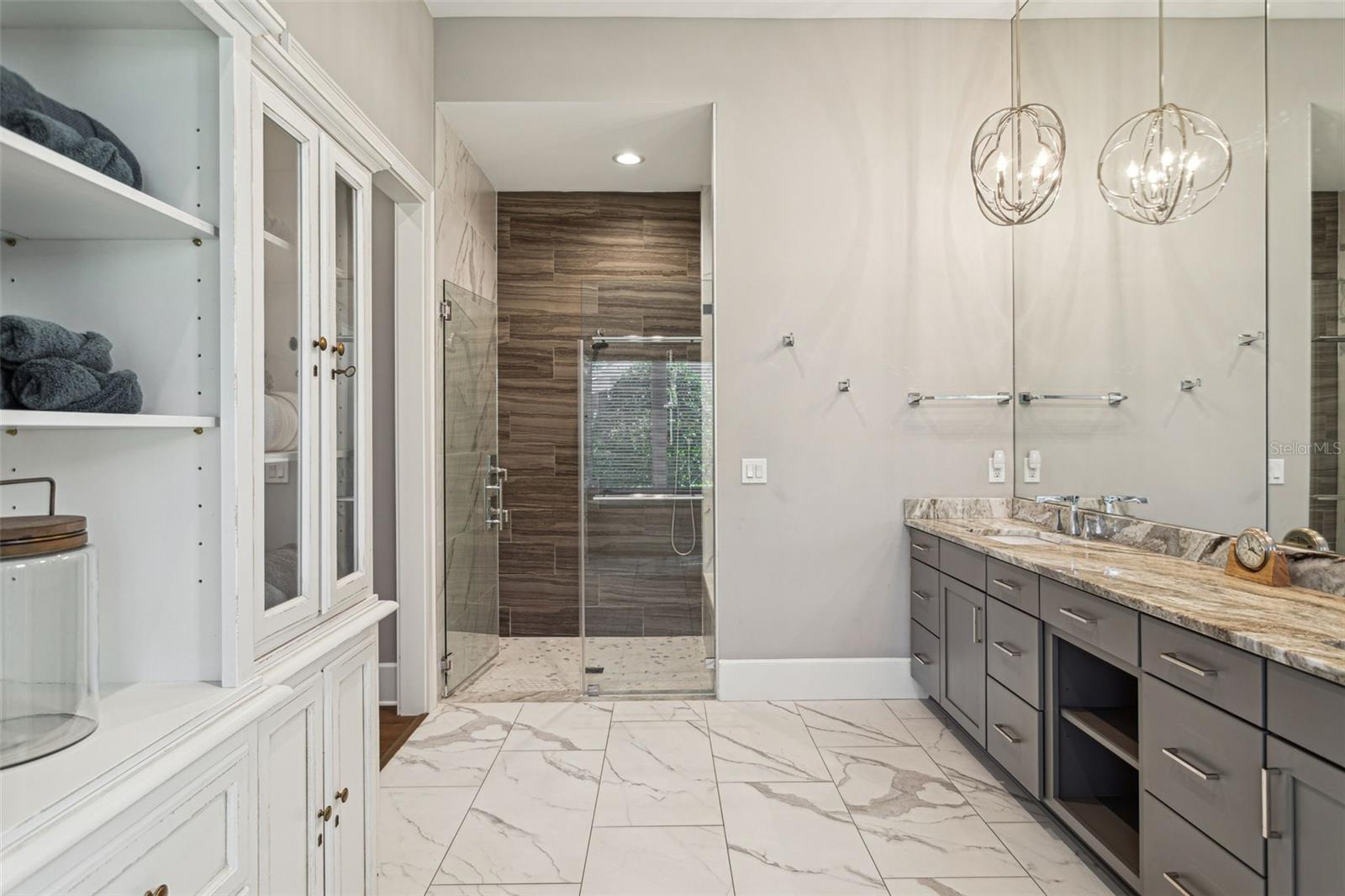 16121 CARENCIA LN, ODESSA, FL, 33556