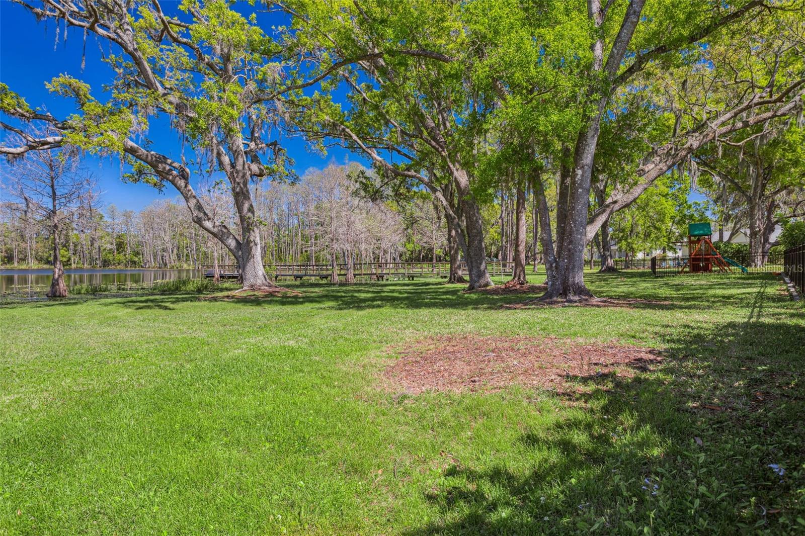 16121 CARENCIA LN, ODESSA, FL, 33556