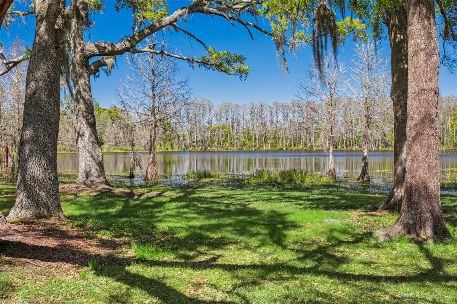 16121 CARENCIA LN, ODESSA, FL, 33556