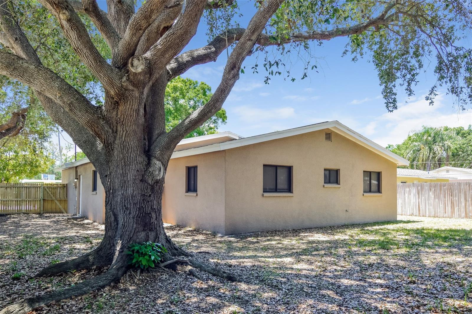 3901 HELENA ST NE, ST PETERSBURG, FL, 33703