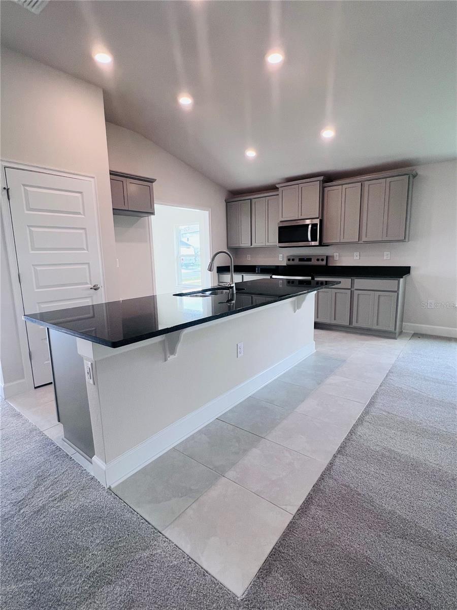 4236 SAGEFIELD DR., ST CLOUD, FL, 34773