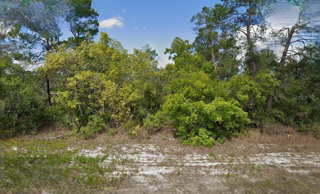 215 & 217 TREASURER AVE NE, LAKE PLACID, FL, 33852