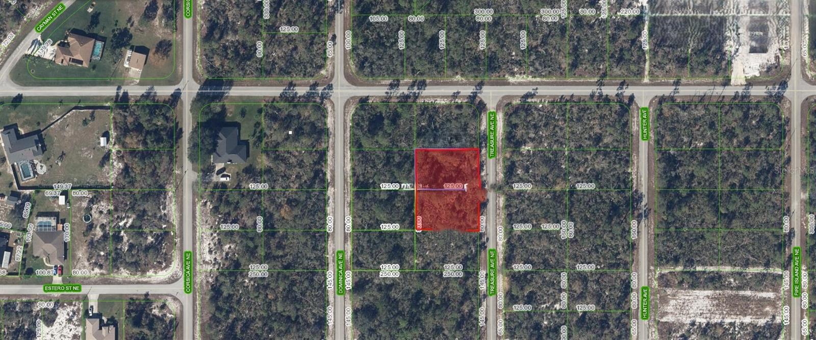 215 & 217 TREASURER AVE NE, LAKE PLACID, FL, 33852