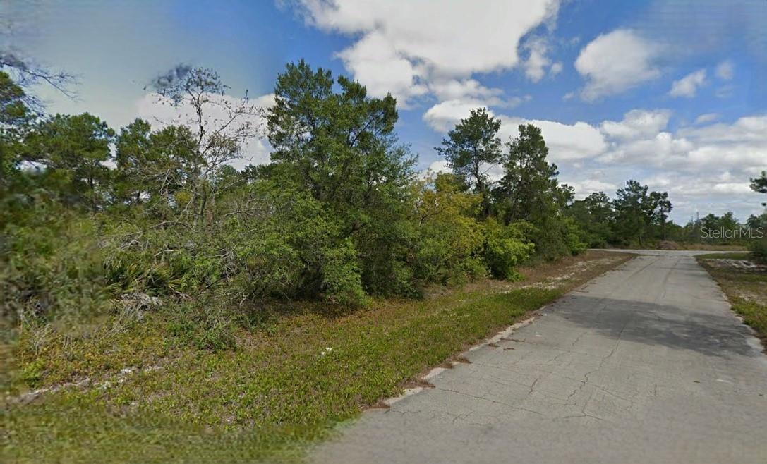 215 & 217 TREASURER AVE NE, LAKE PLACID, FL, 33852
