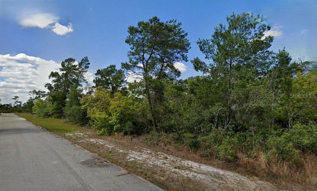 215 & 217 TREASURER AVE NE, LAKE PLACID, FL, 33852
