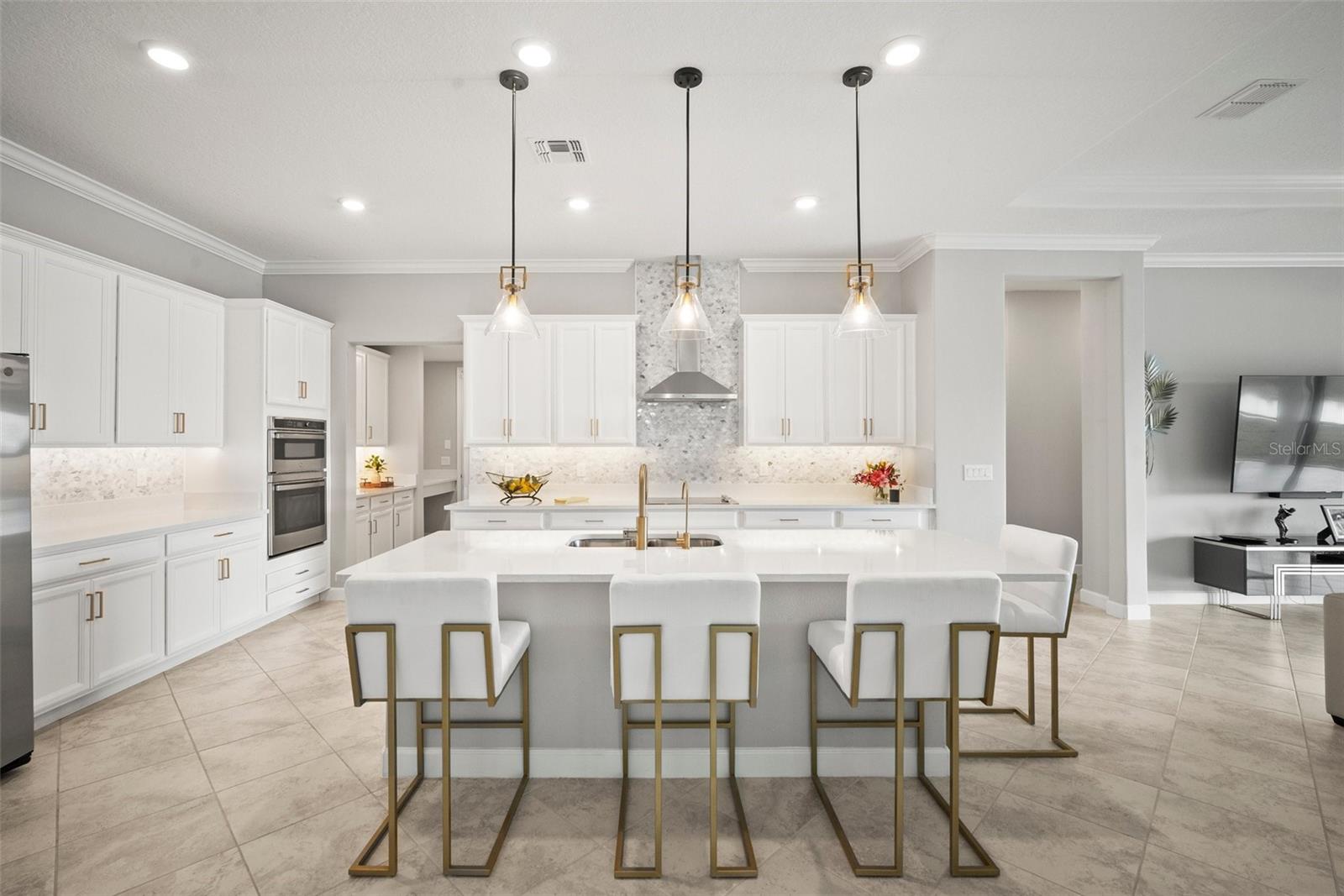 5305 TULIP DROP DR, WIMAUMA, FL, 33598