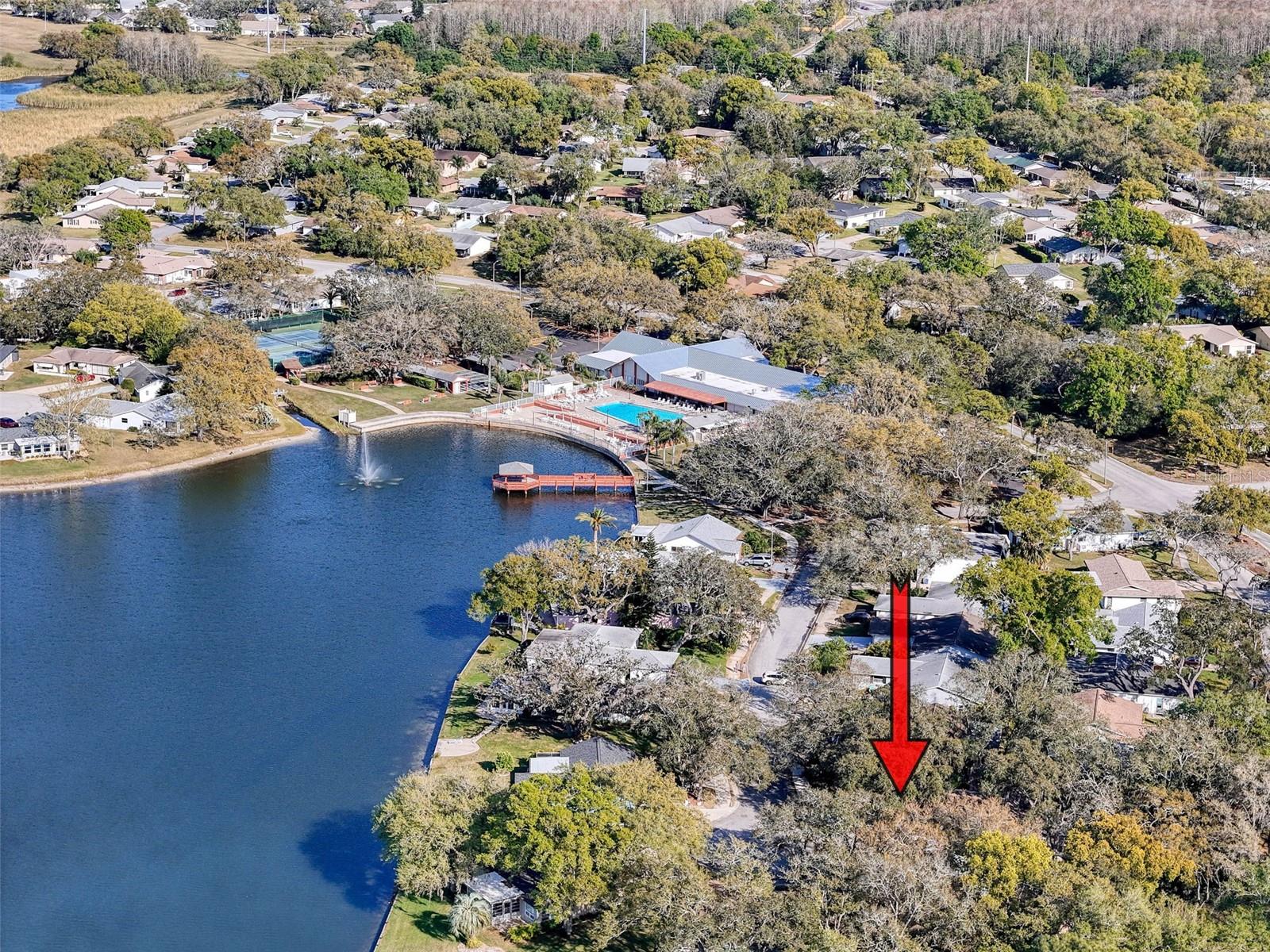 10635 TIMBER LN, PORT RICHEY, FL, 34668
