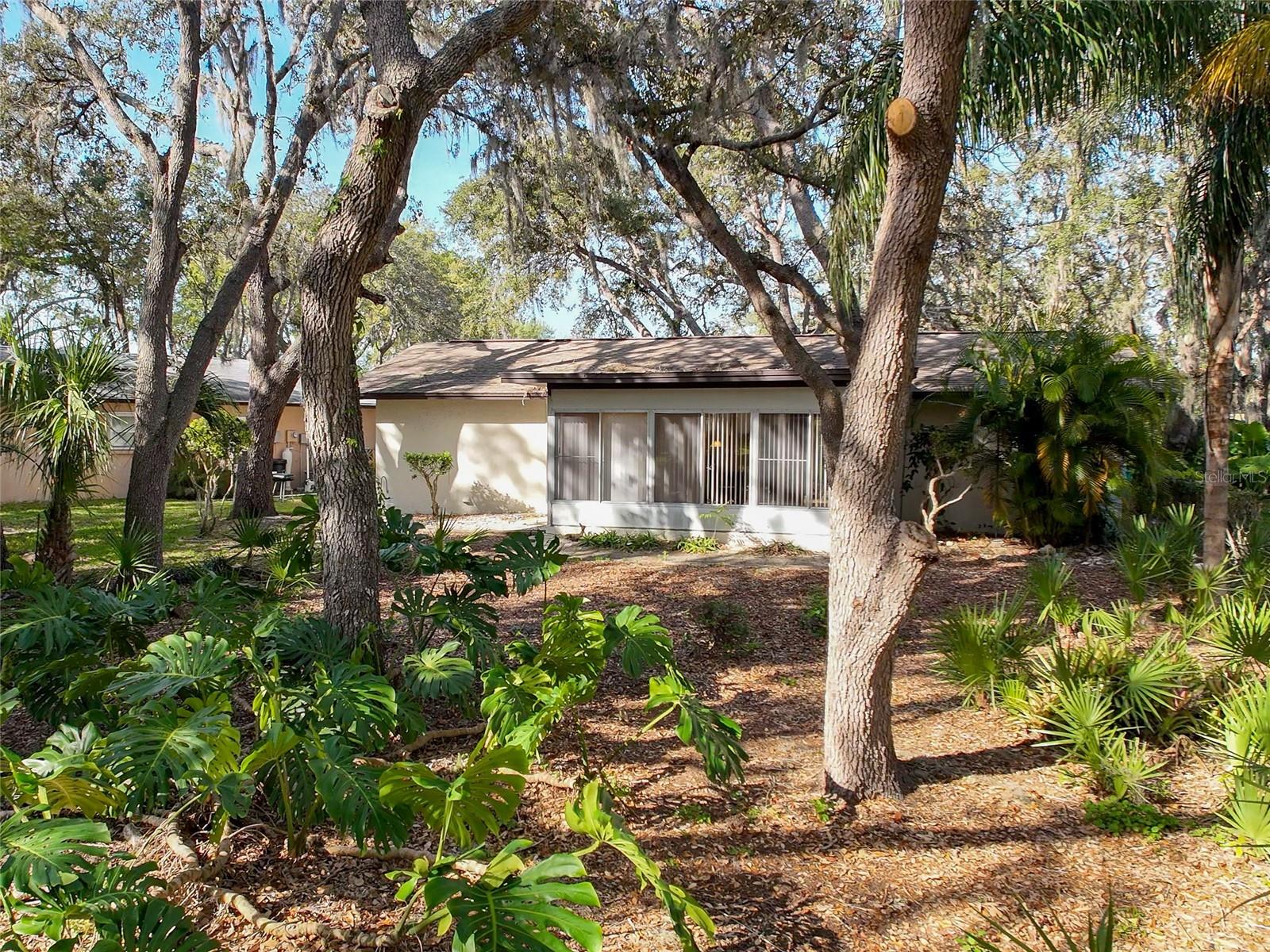 10635 TIMBER LN, PORT RICHEY, FL, 34668