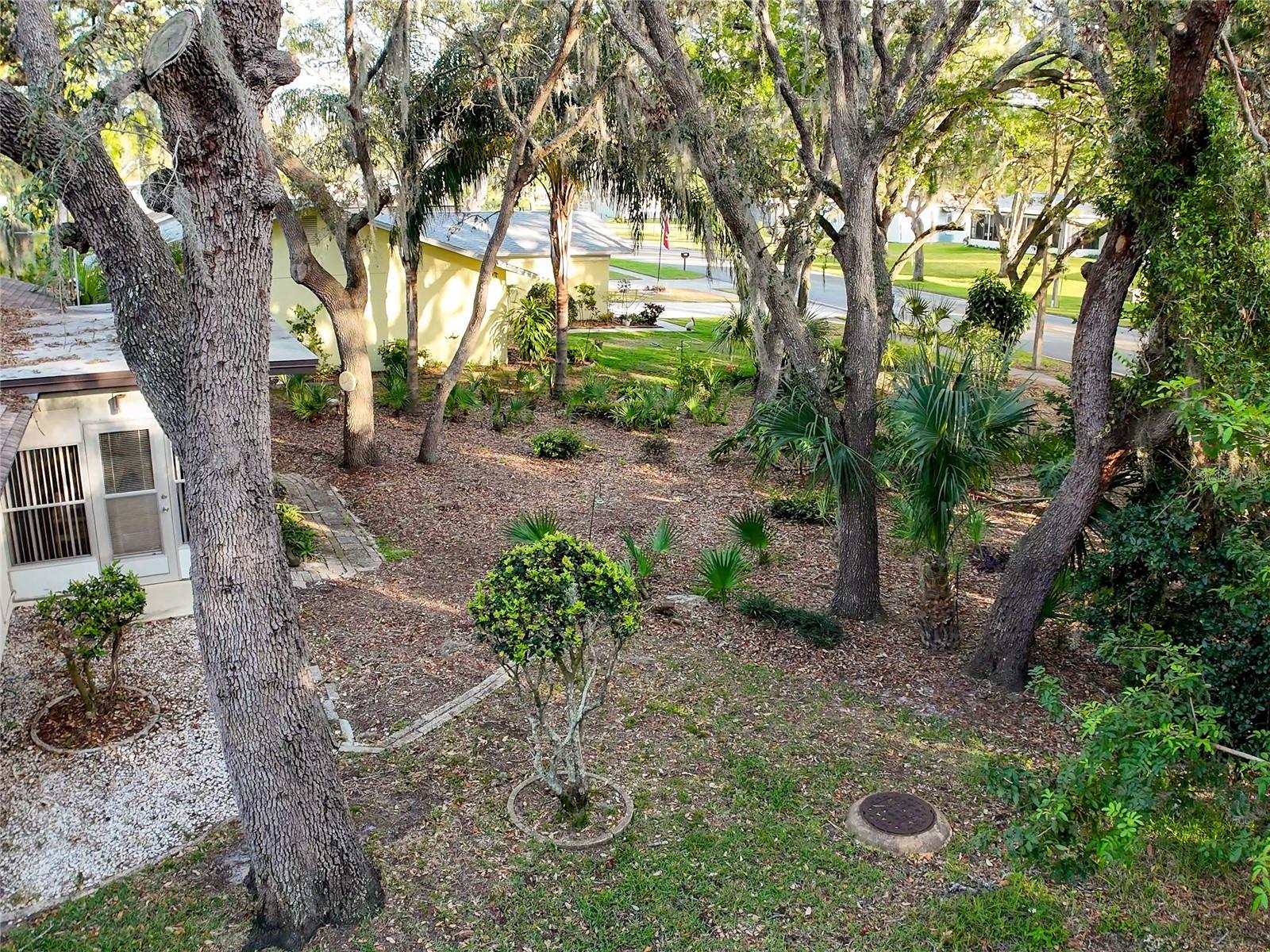 10635 TIMBER LN, PORT RICHEY, FL, 34668