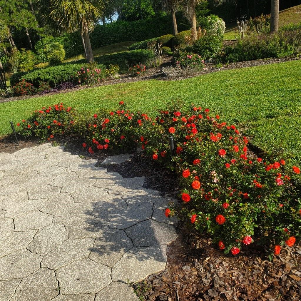 9391 SW 71ST LOOP, OCALA, FL, 34481