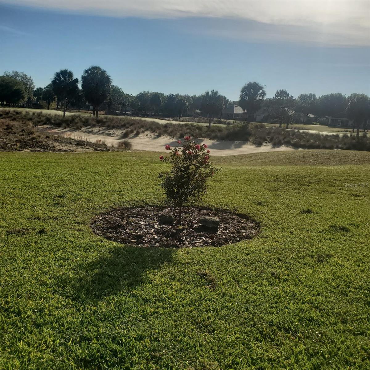 9391 SW 71ST LOOP, OCALA, FL, 34481