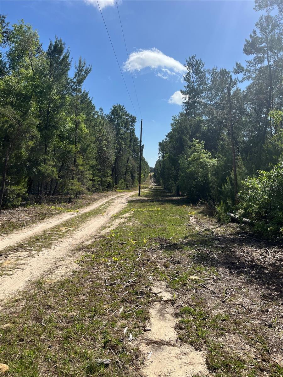 TBD N COUNTY ROAD 315, MELROSE, FL, 32666