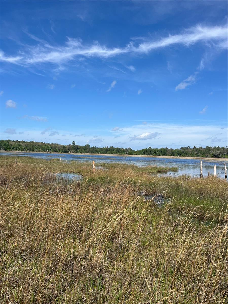 TBD N COUNTY ROAD 315, MELROSE, FL, 32666