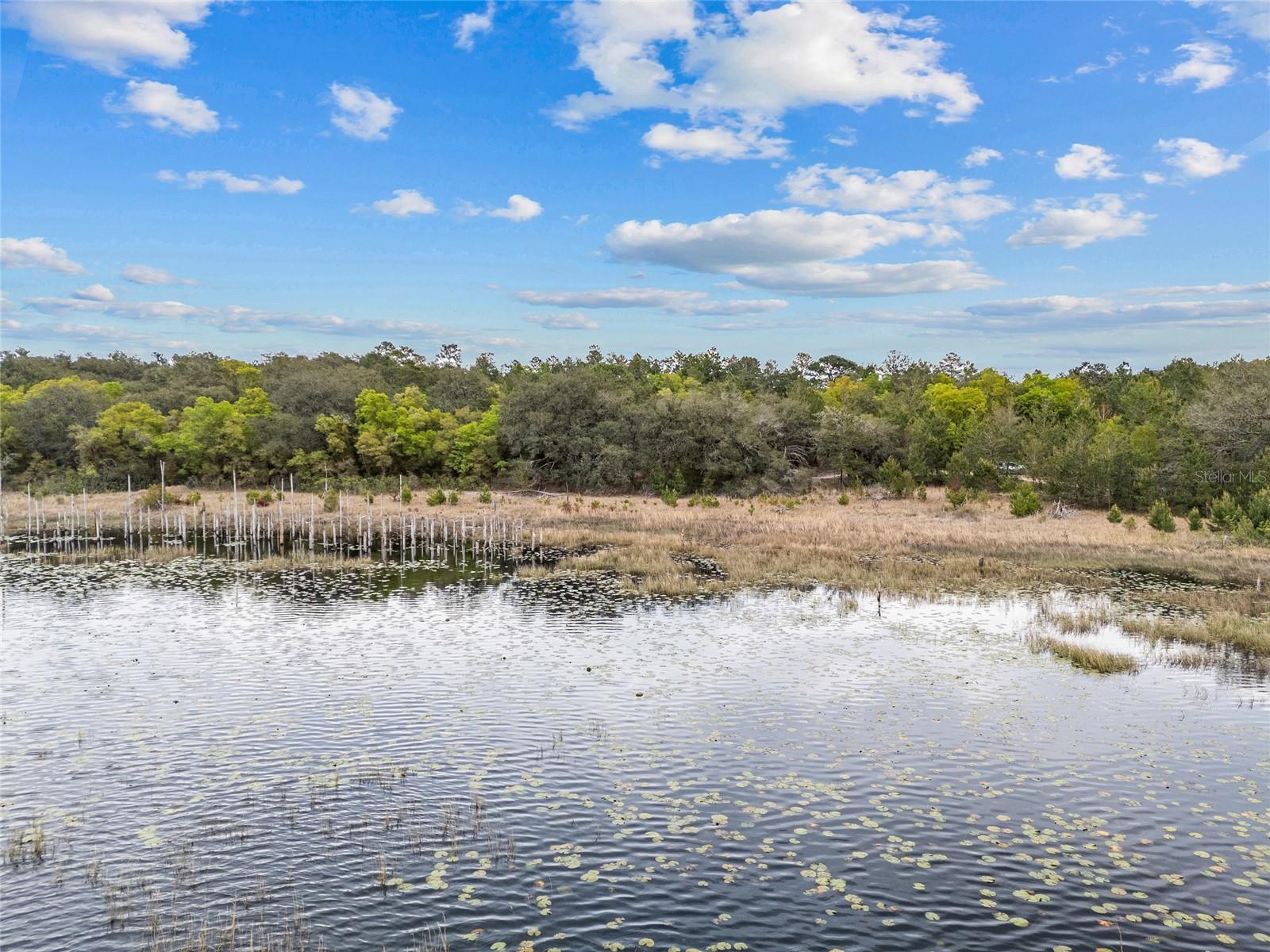 TBD N COUNTY ROAD 315, MELROSE, FL, 32666