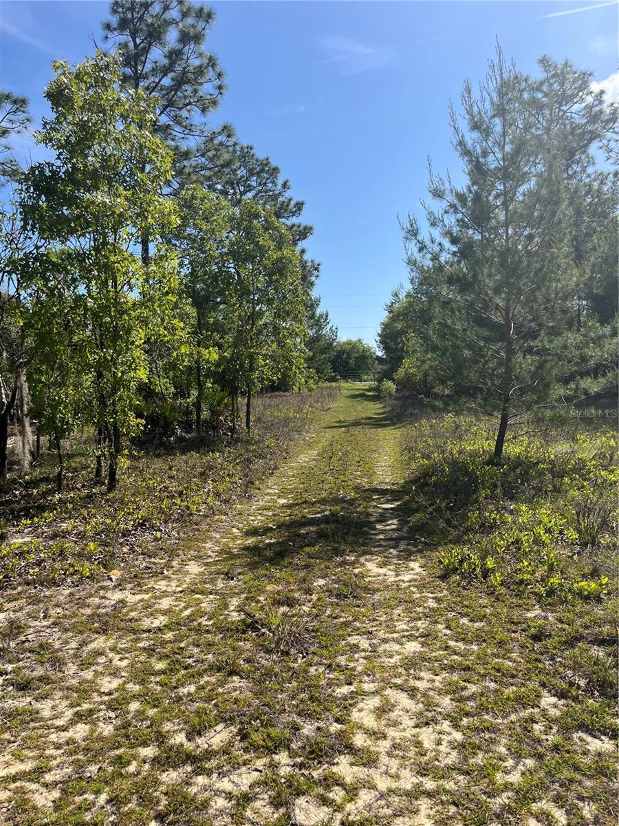 TBD N COUNTY ROAD 315, MELROSE, FL, 32666
