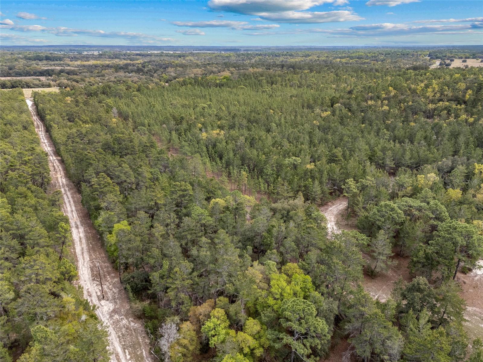 TBD N COUNTY ROAD 315, MELROSE, FL, 32666