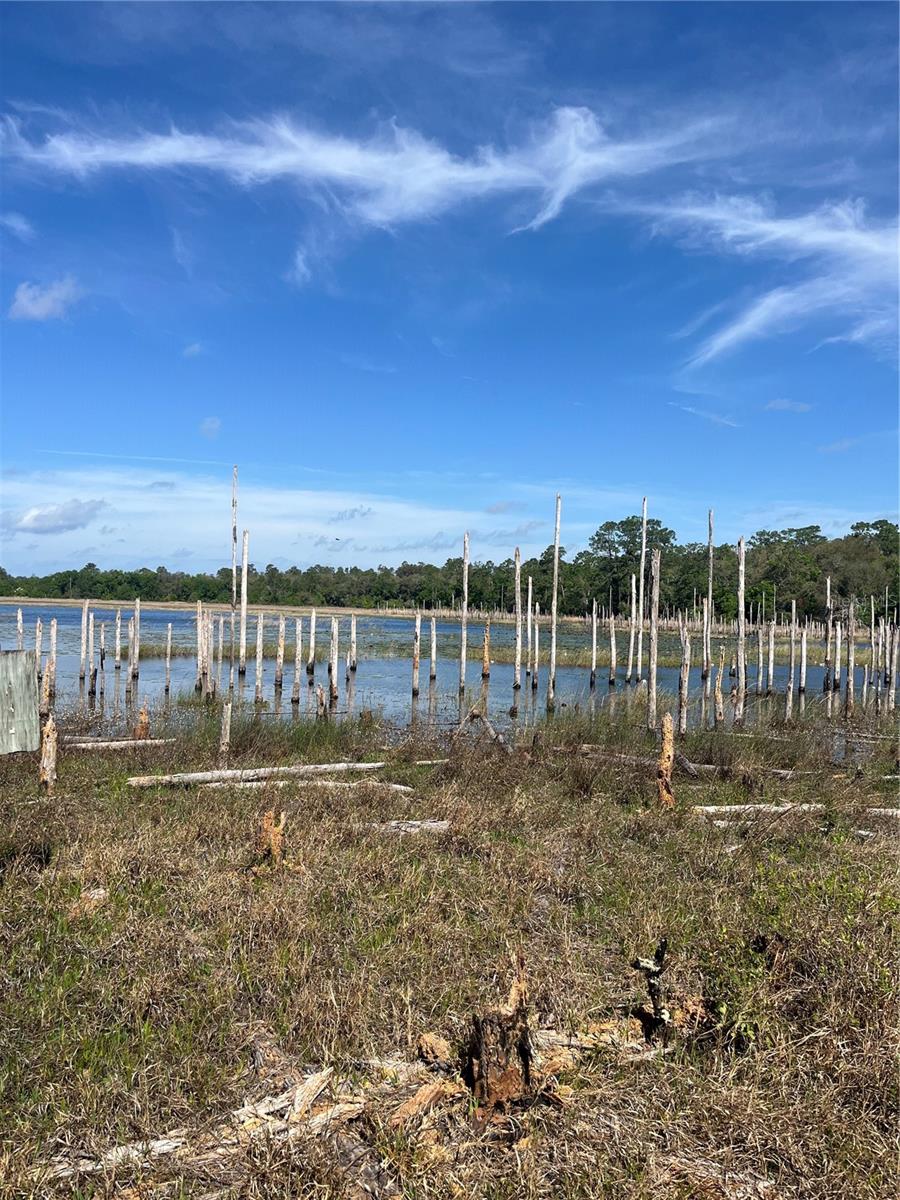 TBD N COUNTY ROAD 315, MELROSE, FL, 32666