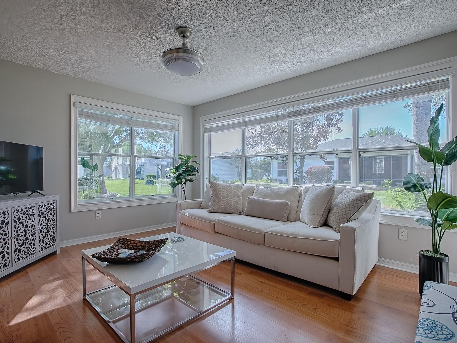 3360 RICHMOND DR, THE VILLAGES, FL, 32162