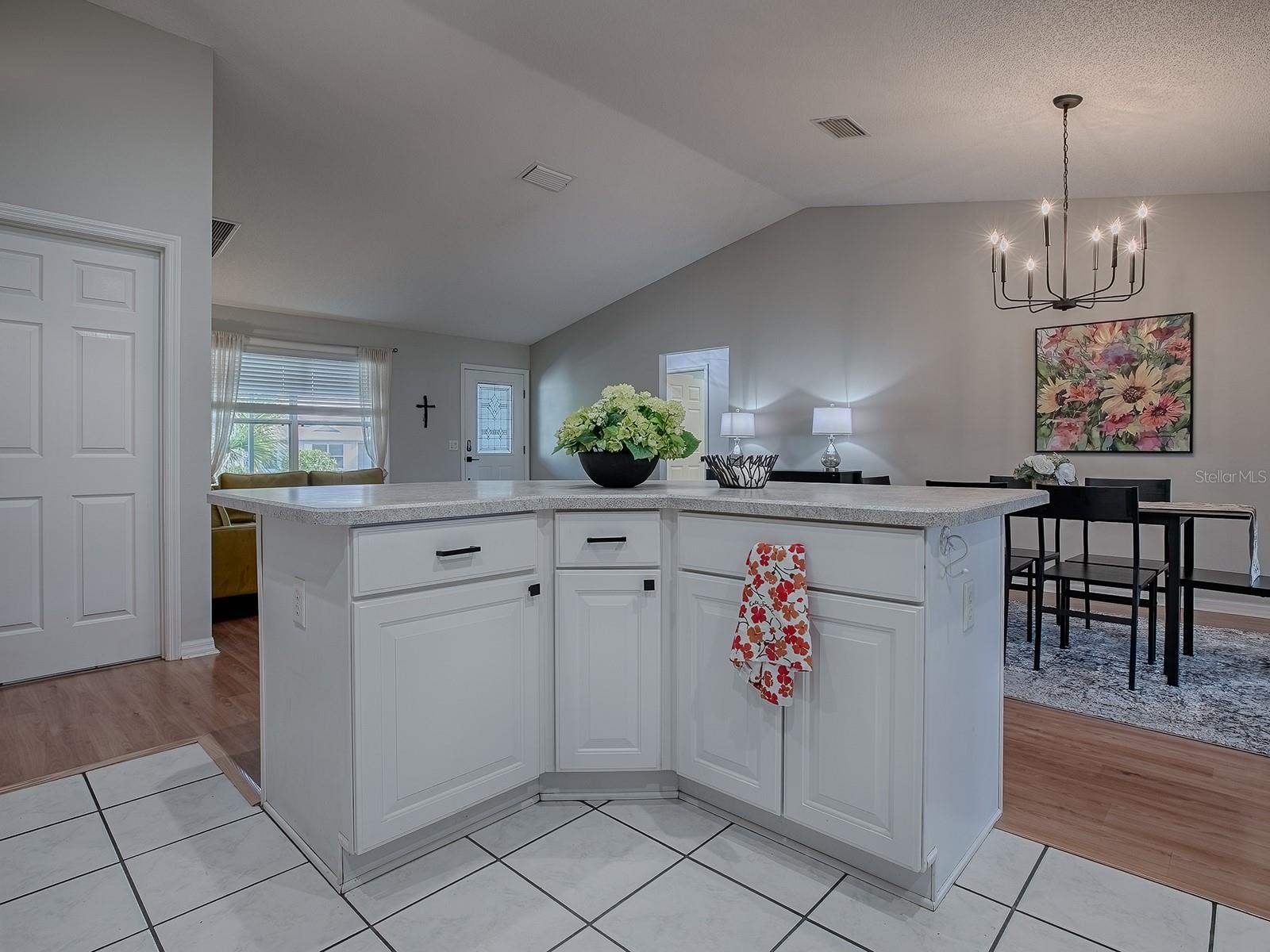 3360 RICHMOND DR, THE VILLAGES, FL, 32162