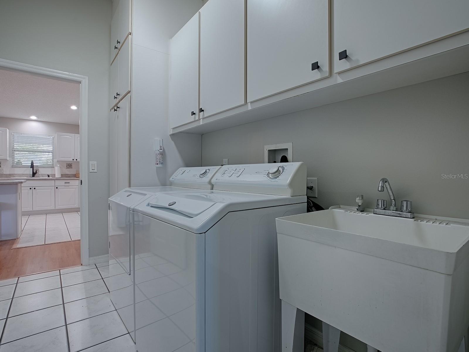 3360 RICHMOND DR, THE VILLAGES, FL, 32162