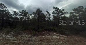 448 QUAIL AVE, SEBRING, FL, 33870